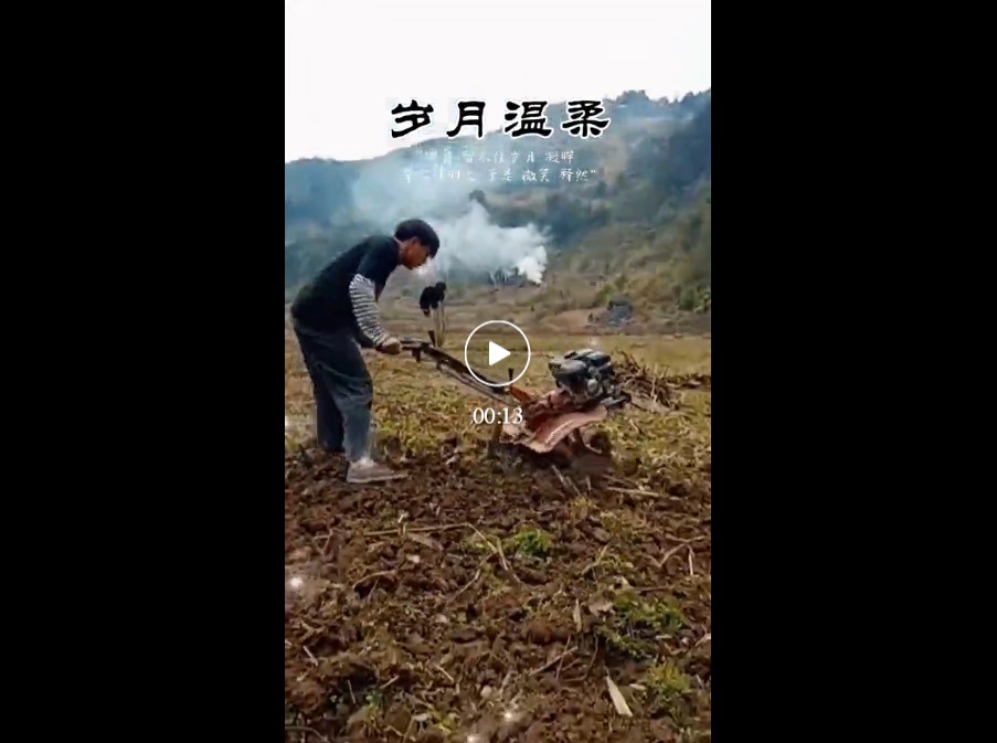 手扶耕田机耕田！这样的携创学子怎能不点赞！